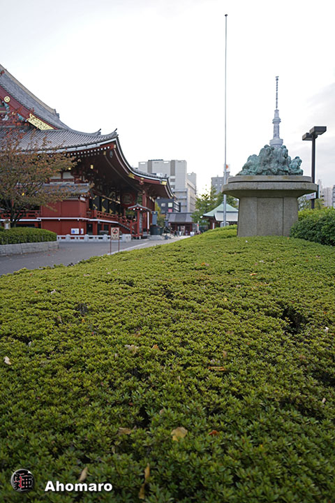 写真00