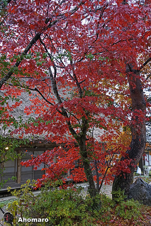 写真00