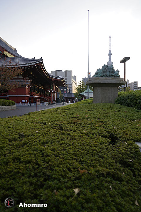 写真00