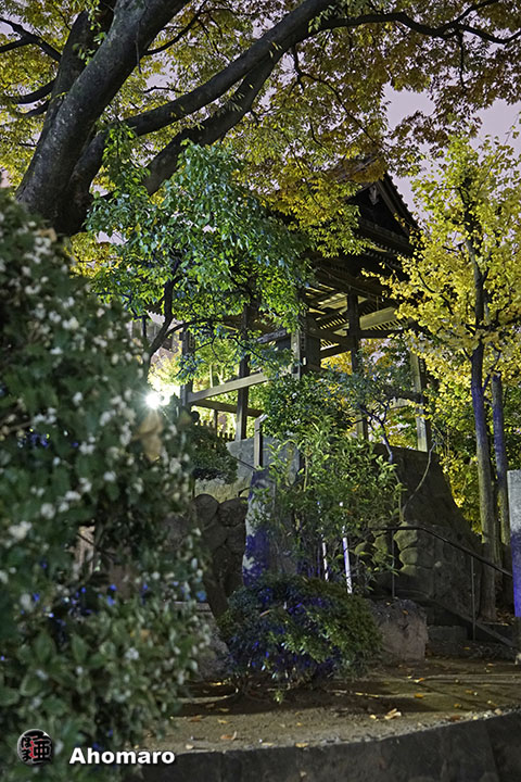 写真00