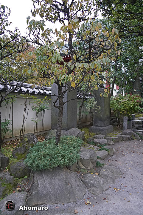 写真00