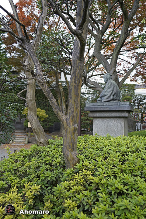 写真00
