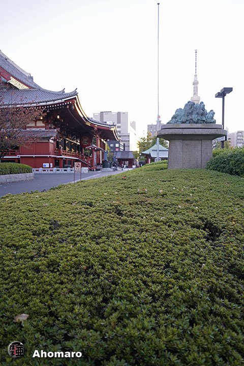 写真00