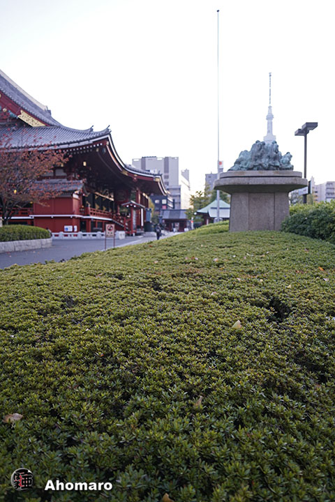 写真00