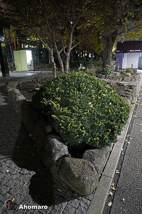 写真00