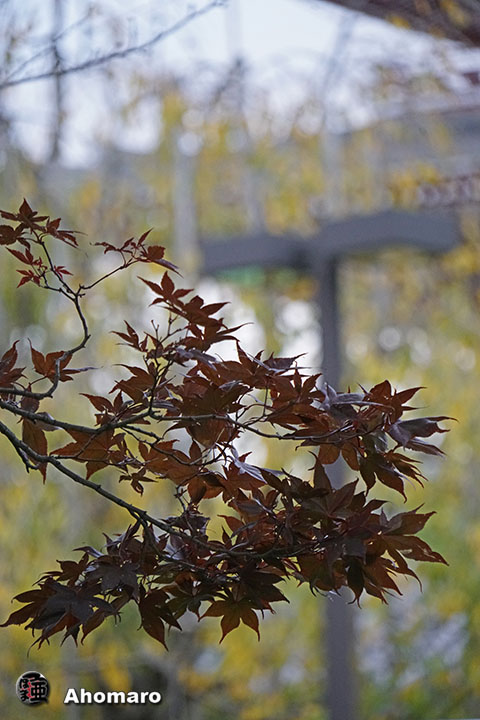 写真00