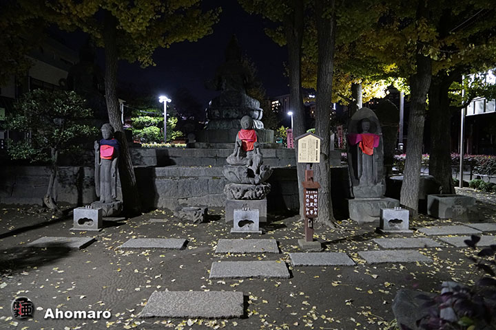 写真00