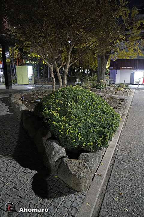 写真00