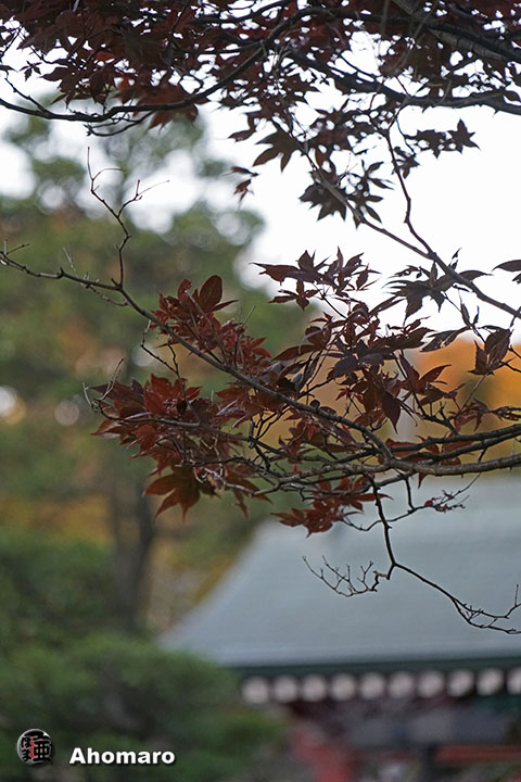写真00