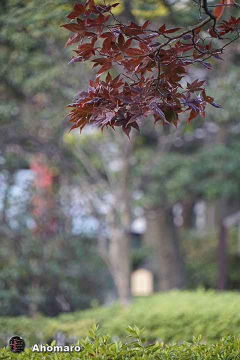 写真00