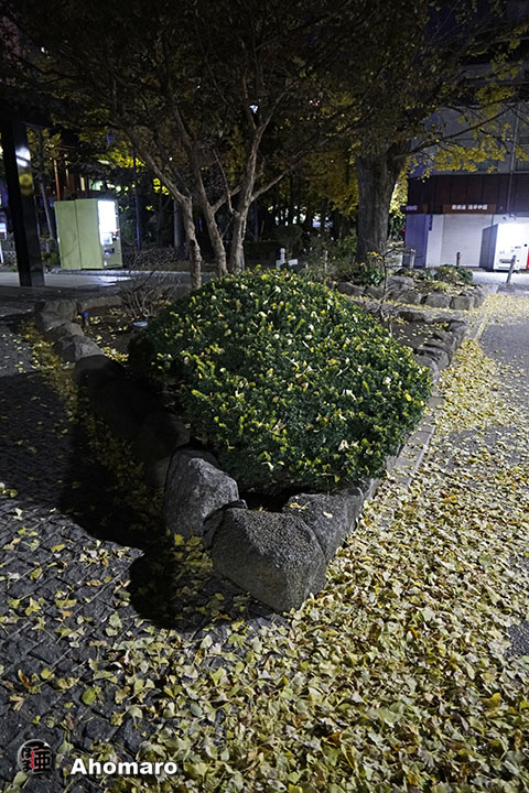 写真00