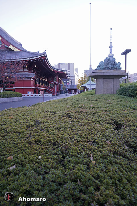 写真00