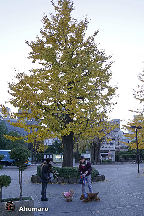 写真00