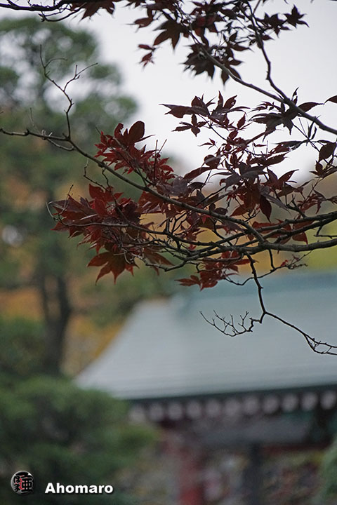 写真00