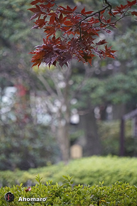 写真00