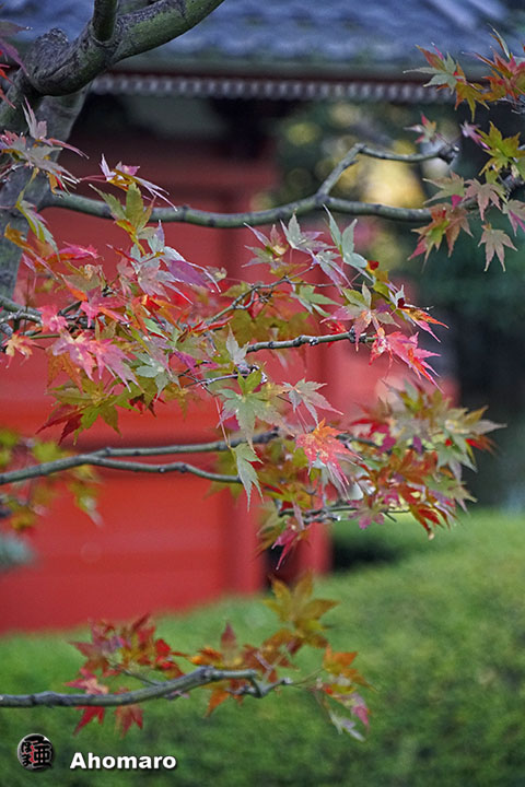 写真00