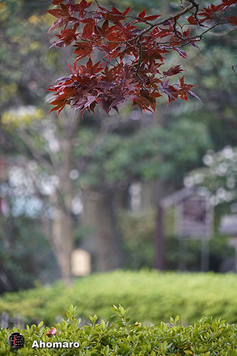 写真00