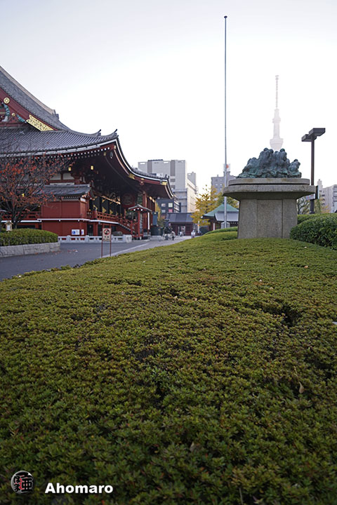写真00