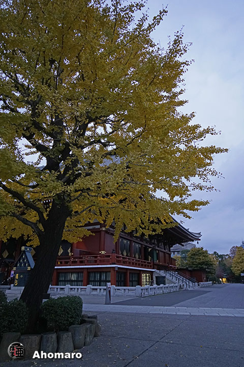 写真00