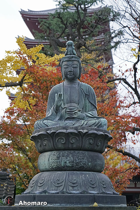 写真00
