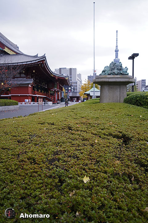 写真00