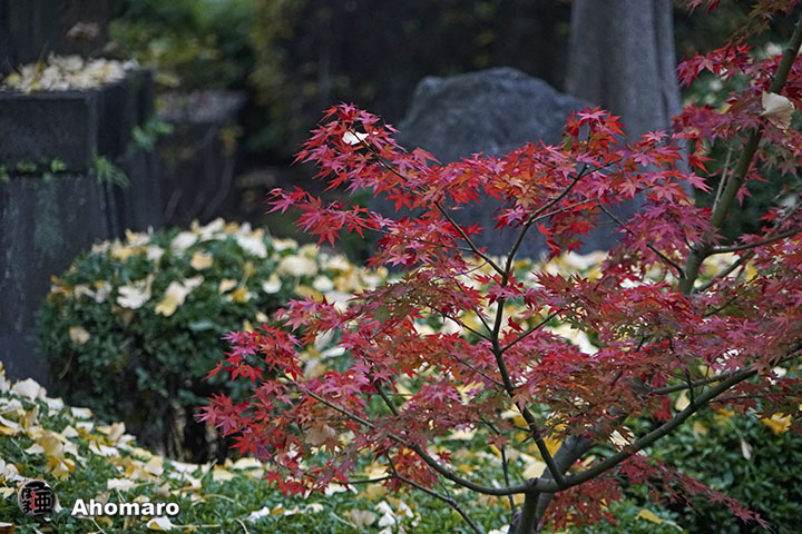 写真00