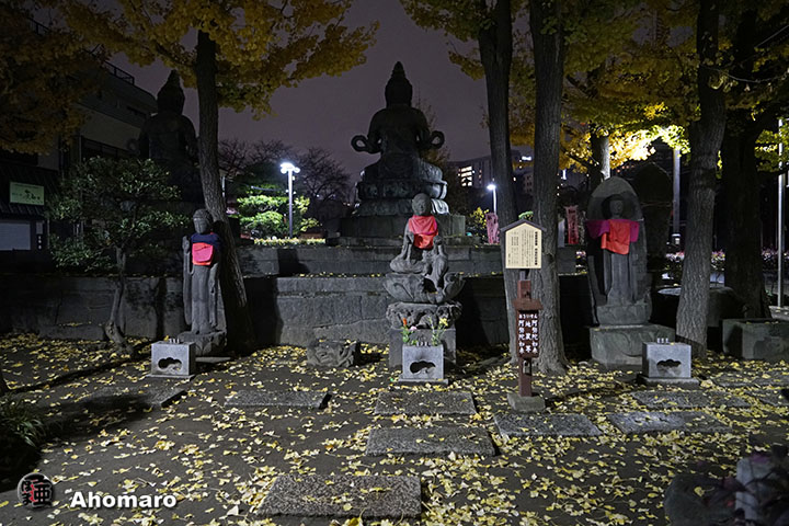 写真00