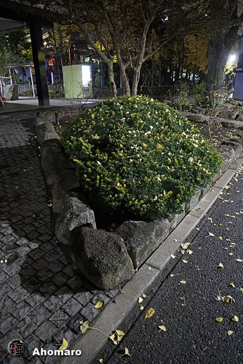 写真00
