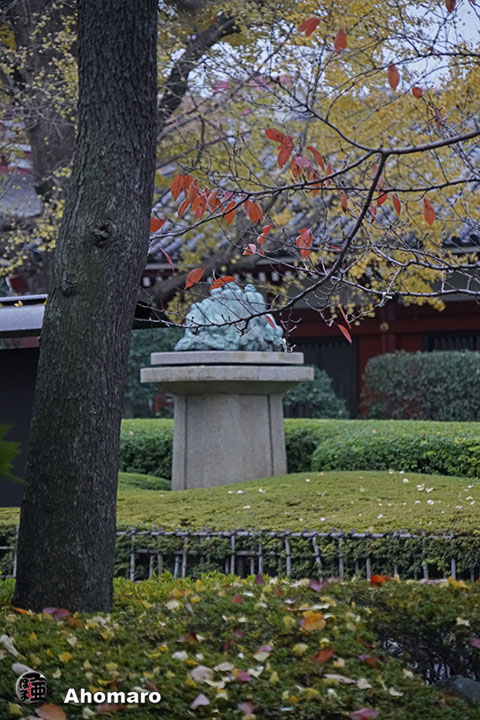 写真00
