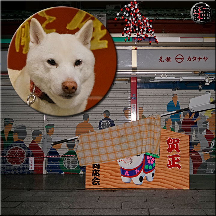 Lʐ^