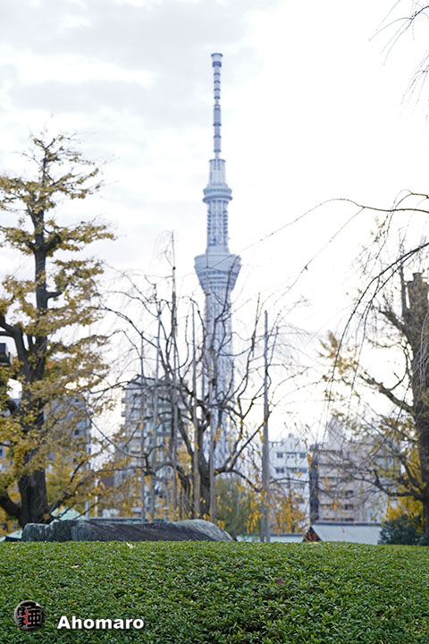 写真00