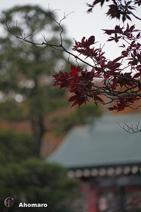 写真00