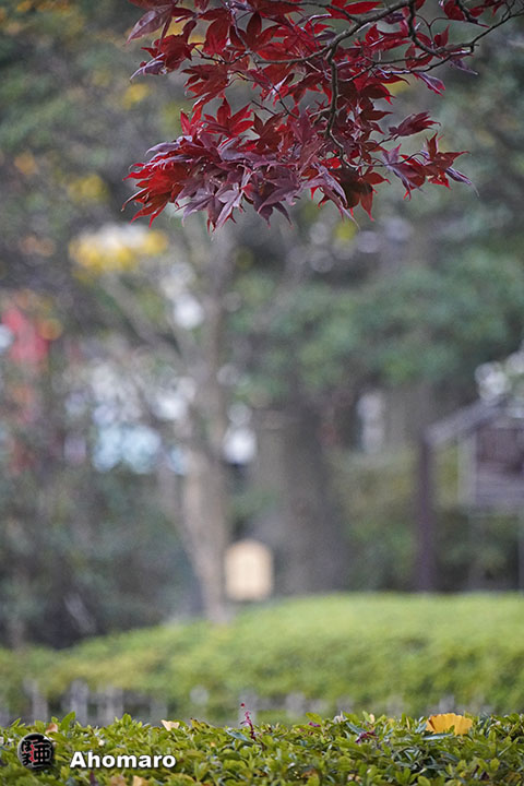 写真00