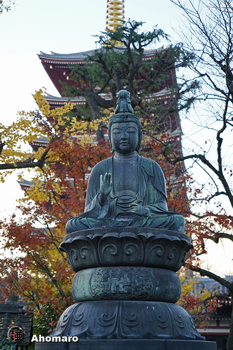 写真00