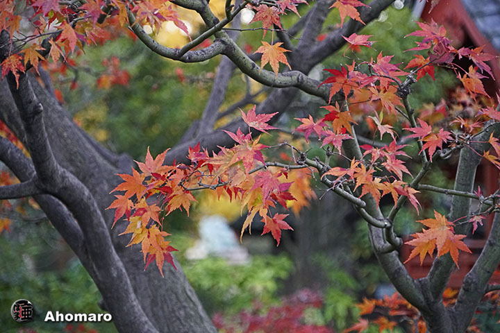 写真00