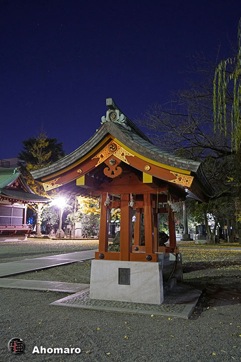 写真00