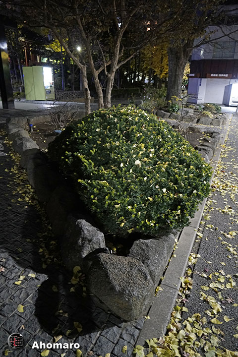 写真00