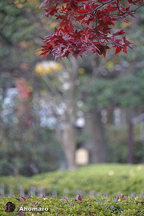 写真00