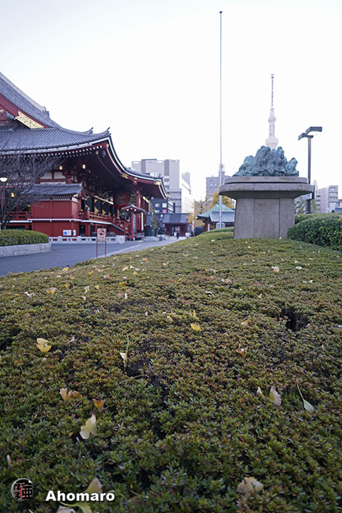 写真00