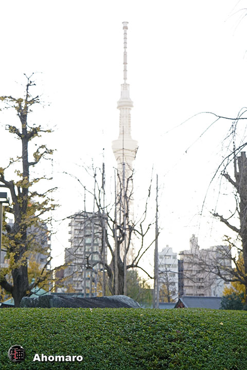 写真00