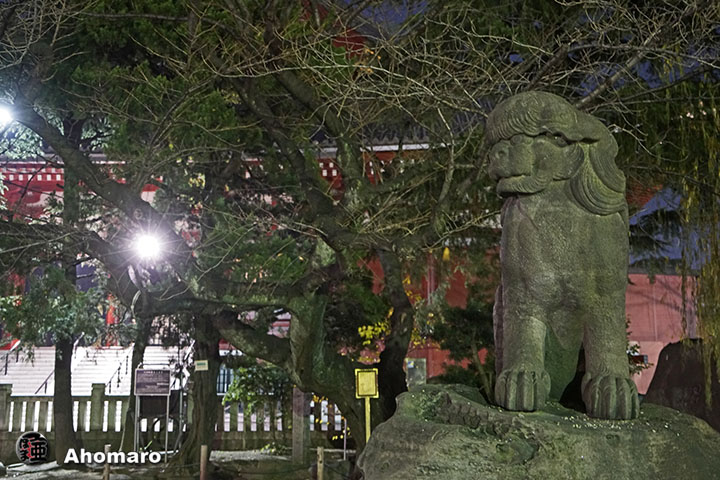 写真00