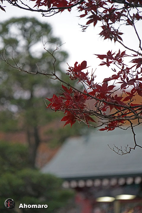 写真00