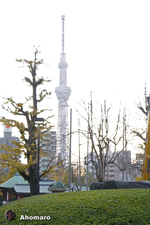 写真00