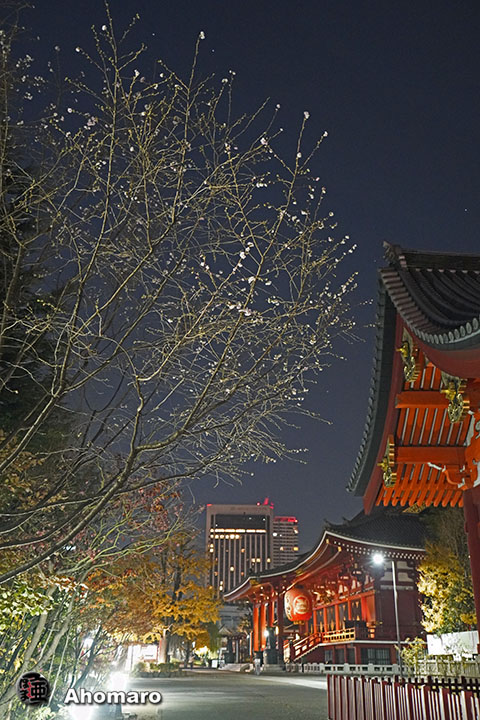 写真00