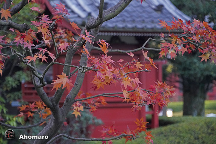 写真00