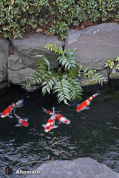 写真00