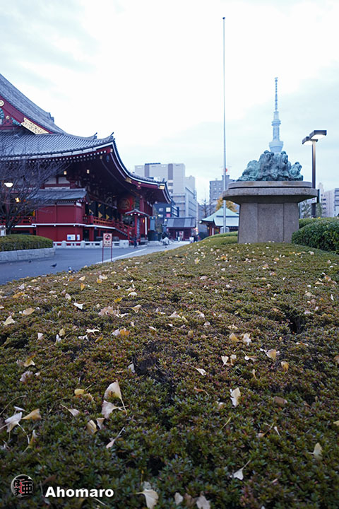 写真00