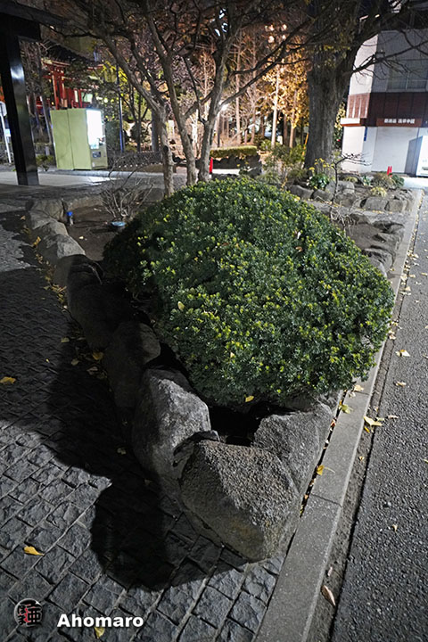 写真00