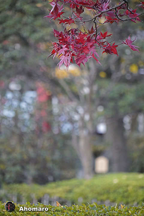写真00