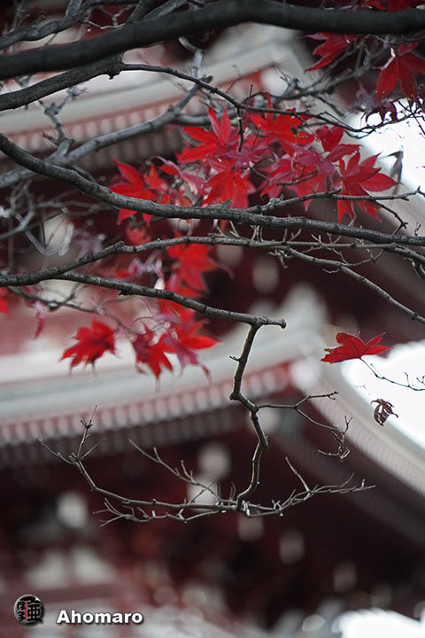 写真00